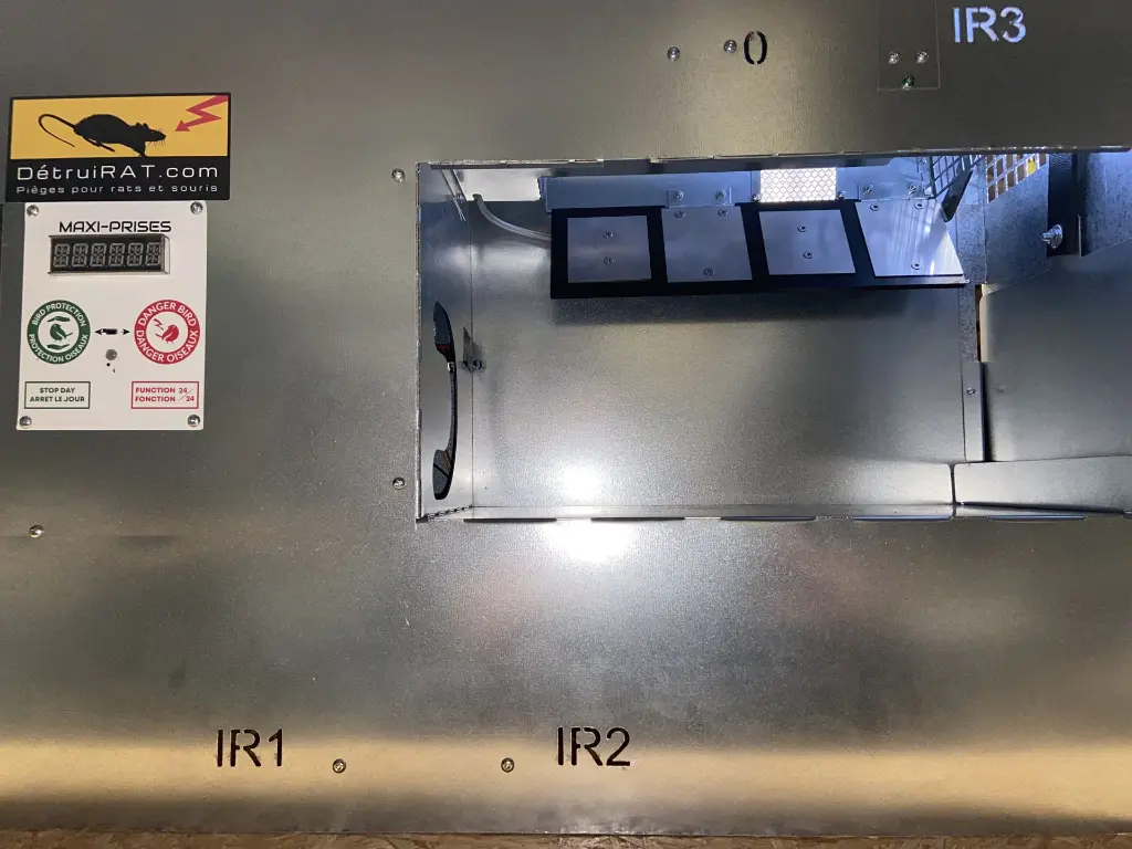 cellule electrocution piege rat rongeur detruirat maxi prise.webp
