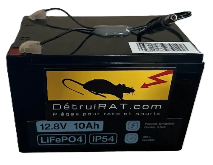 batterie.webp