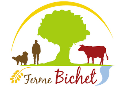 BICHET DAVID