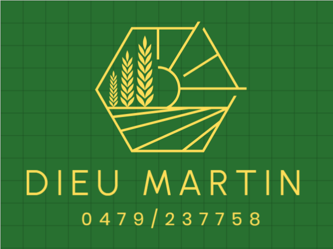Martin Dieu