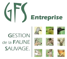 GFS ENTREPRISE