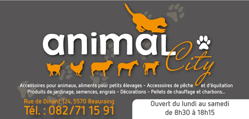 ANIMAL CITY