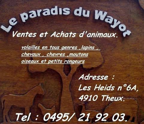 Le paradis du Wayot srl