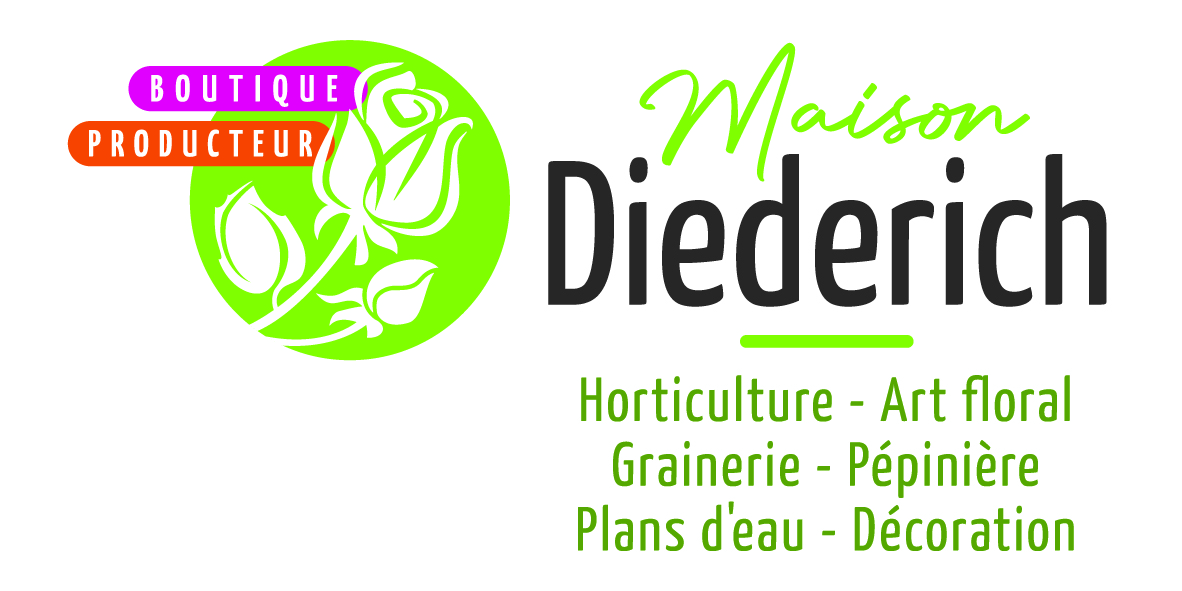 Maison Diederich